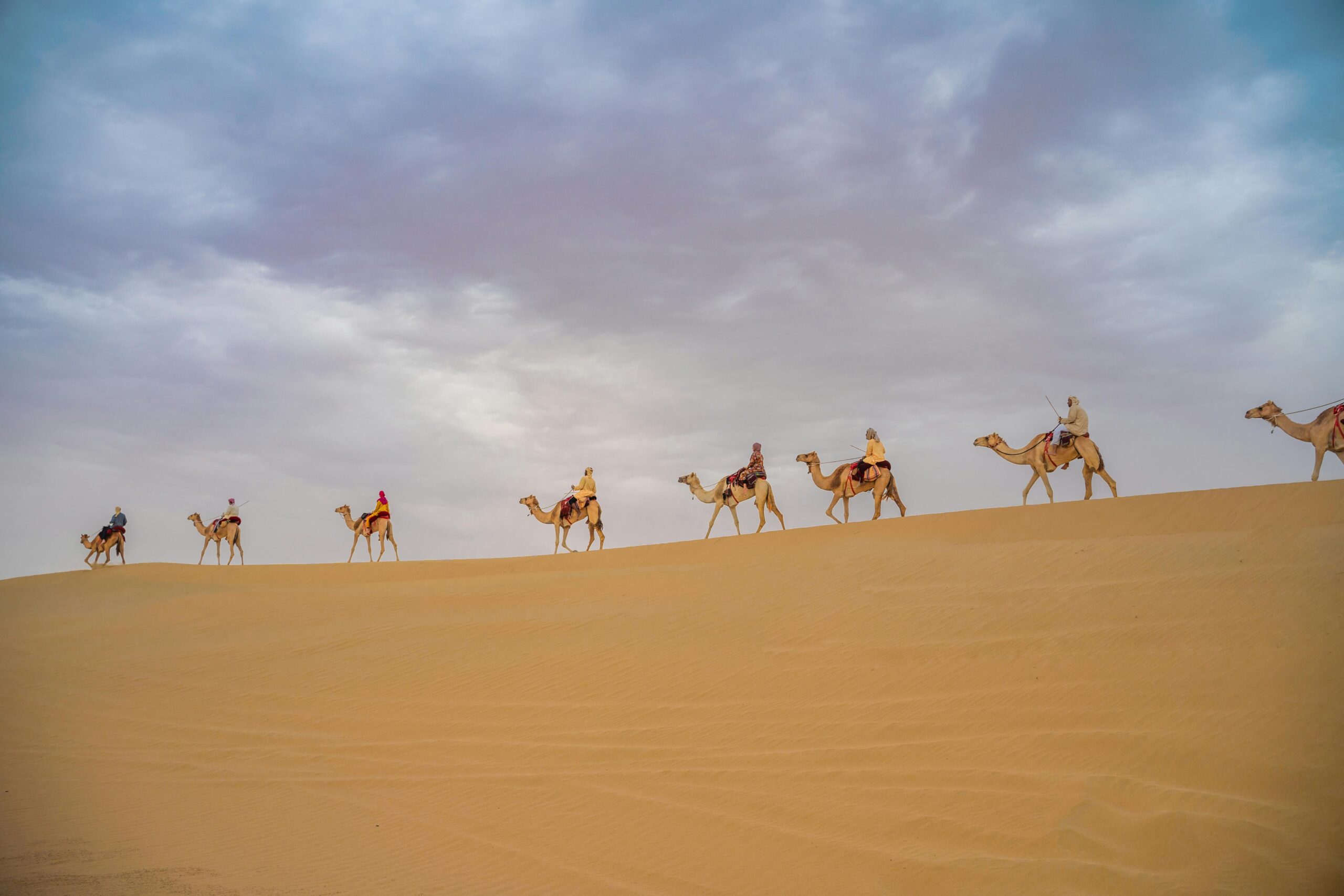 A People Riding Camels